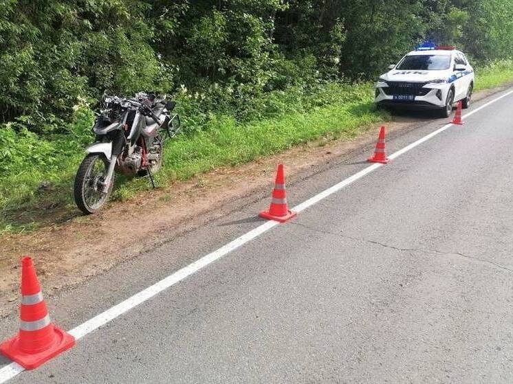 В Новгородском округе свалился на дорогу 18-летний мотоциклист