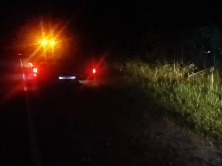 Двух лосей сбили в Нижегородской области накануне