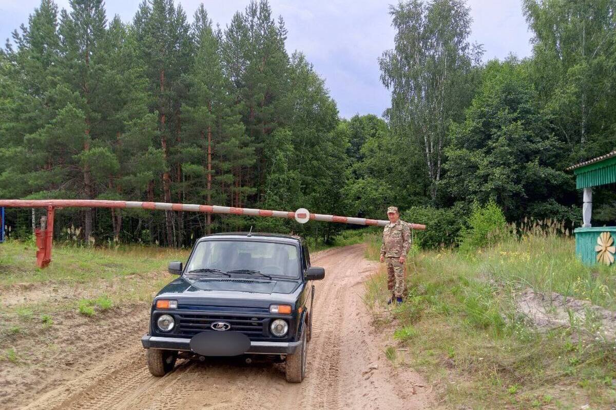 В жаркие выходные в лесах Чувашии дежурили патрули «Лесной охраны»