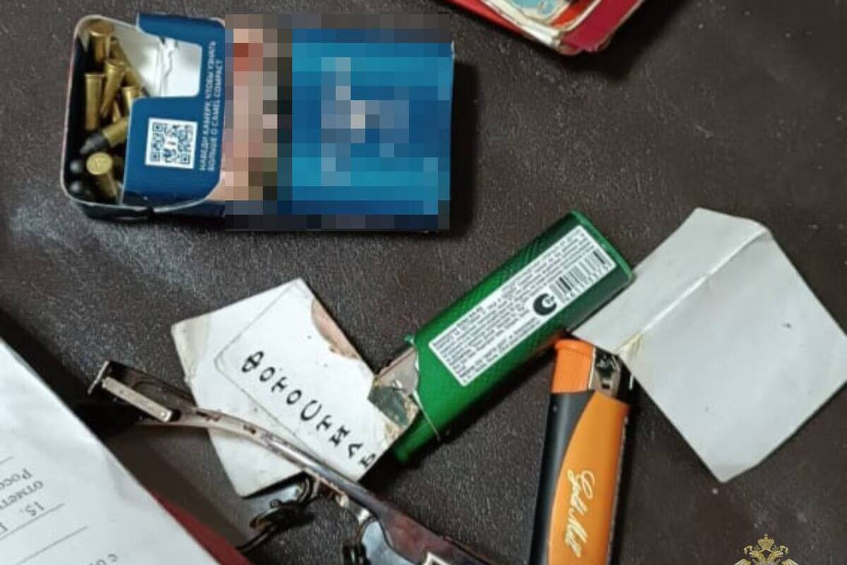 Житель Самарской области нашел 11 патронов и стал фигурантом уголовного дела