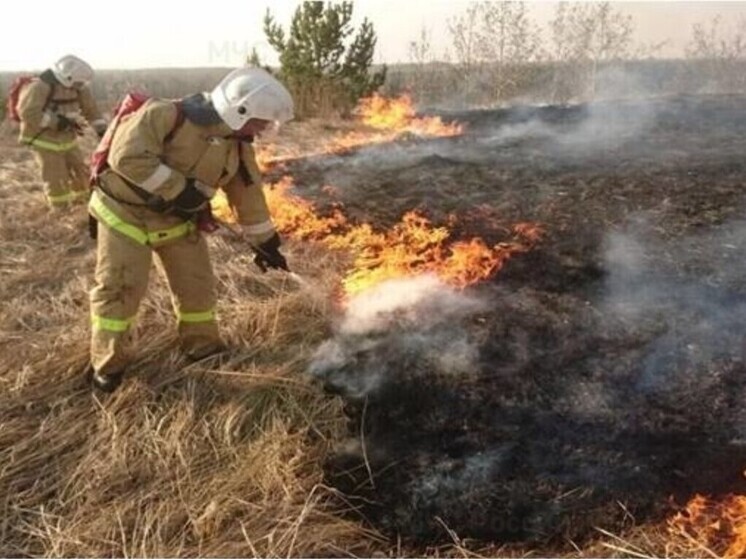В Орловской области добровольцы 340 раз за полгода участвовали в тушении пожаров