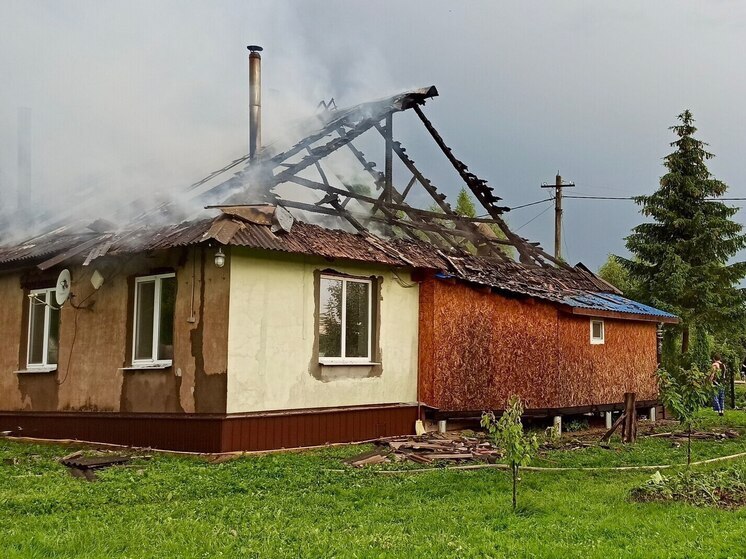 Грозовой разряд стал причиной пожара в Островском округе