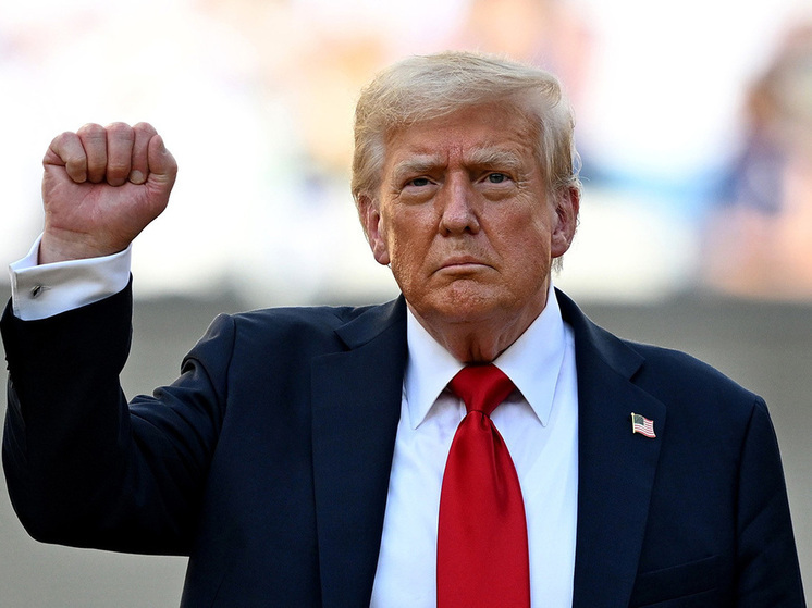 Зачем генсек НАТО Рютте отправился к «папочке» Трампу