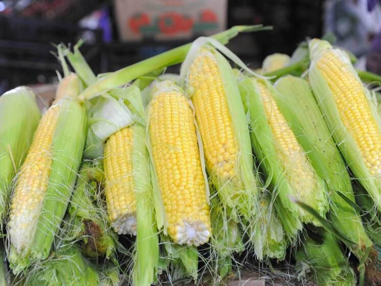 В Волгоградскую область доставили тонны кукурузы без необходимой информации