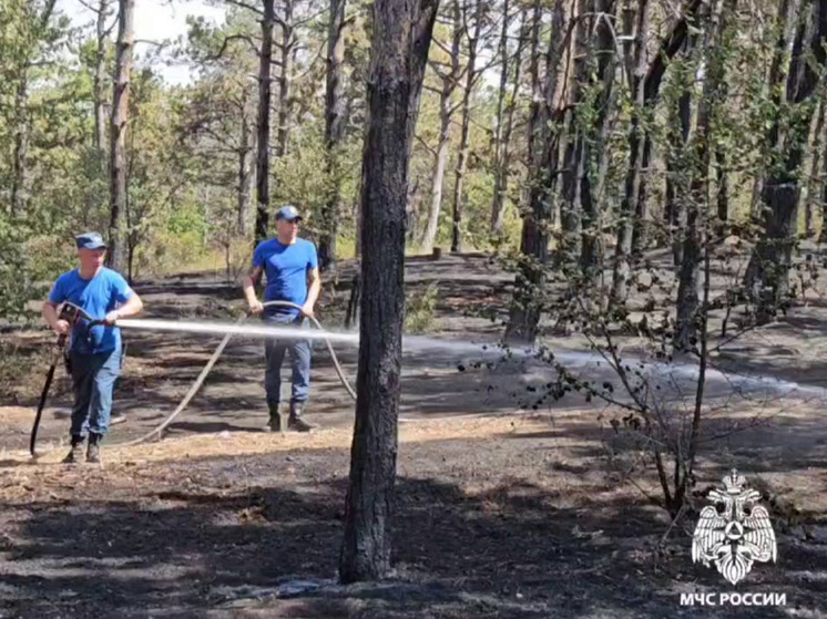 В Симферопольском районе третьи сутки тушат лесной пожар