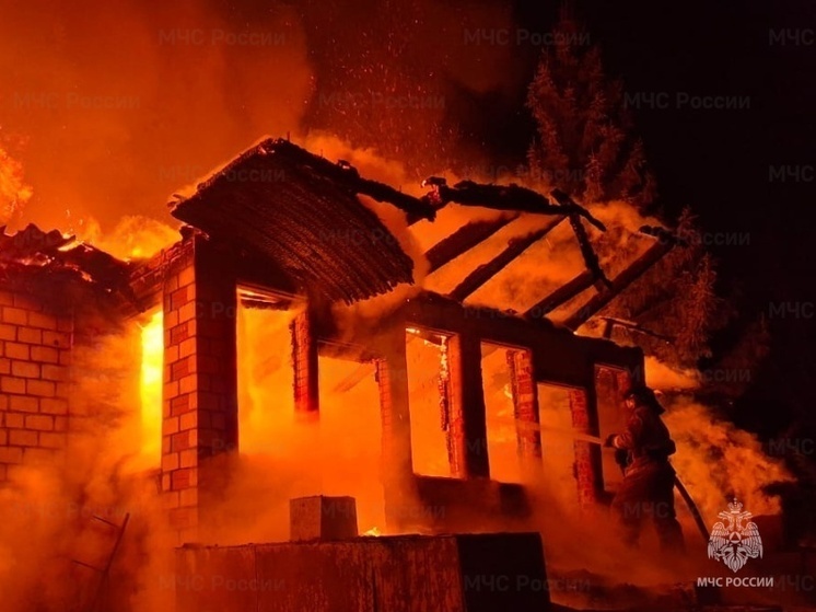 В ДНР из-за непогоды сгорели три жилых дома