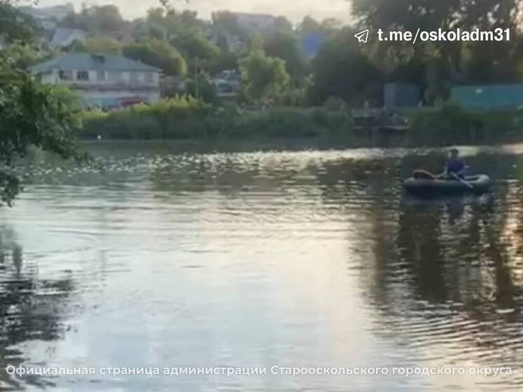 В Старом Осколе утонул мужчина