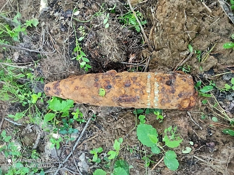 Дачник нашел взрывоопасные предметы в Приморском округе