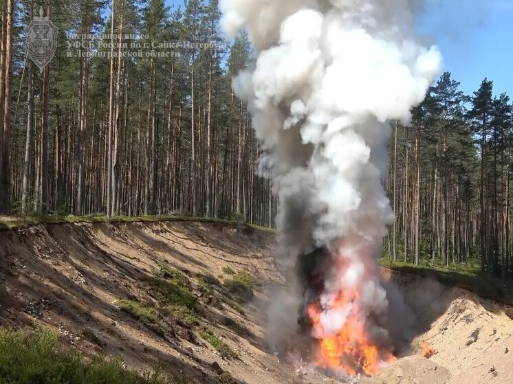 530 кг наркотиков на сумму более 1 млрд рублей сожгли на полигоне в Петербурге