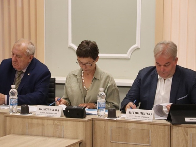 Комитет по бюджету Псковской городской Думы рассмотрел проект изменений в бюджет города на 2025 год