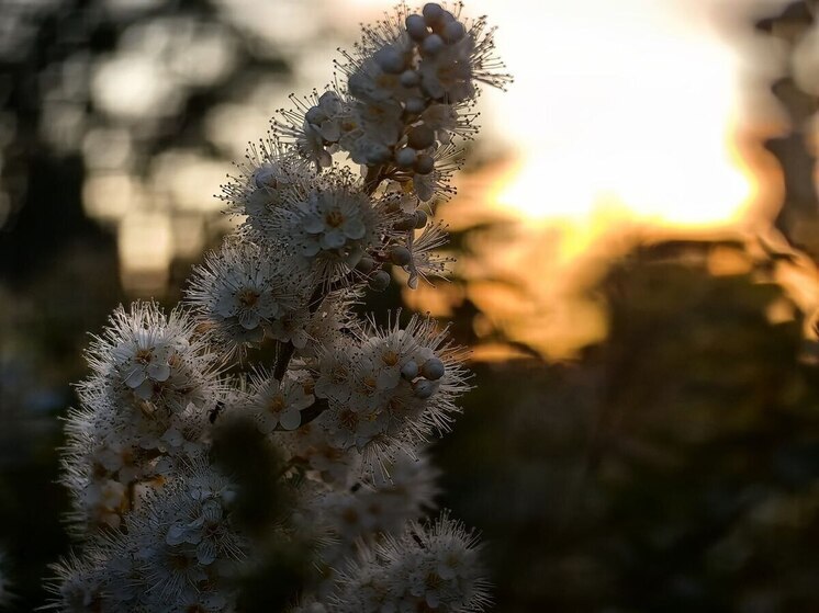 Кратковременный дождь возможен в Хабаровске 15 июля