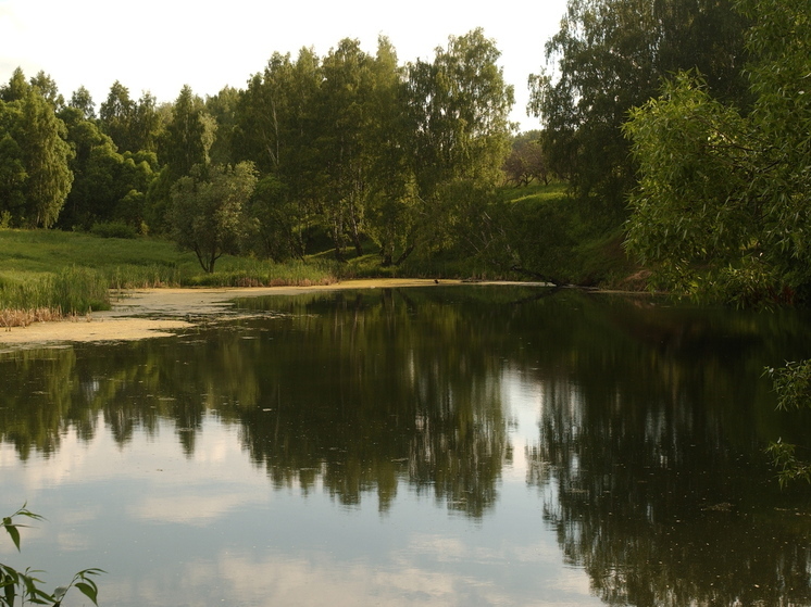 МЧС: в Московской области на выходных на водоемах погибли 17 человек