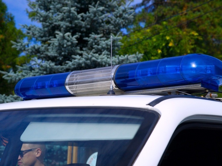 В Челябинской области 10 человек погибли в ДТП с грузовиками