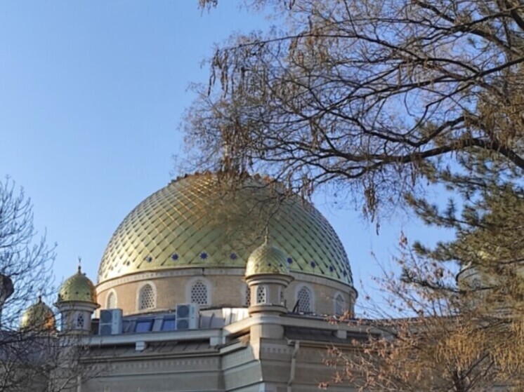 Следователи в Чечне проверяют инцидент с избиением школьников в духовном учебном заведении