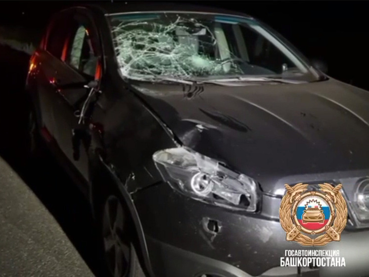 В Башкирии устанавливают обстоятельства ночной аварии, в которой погиб пешеход