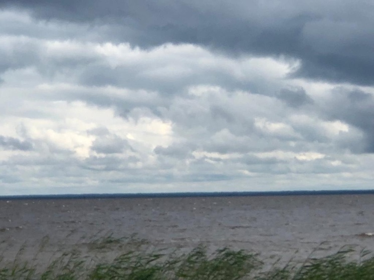 В минувшие выходные купание в водоемах Вологодской области закончилось гибелью двух человек