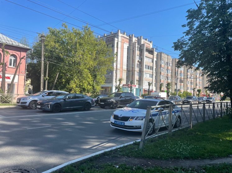 На этой неделе костромские сотрудники ГИБДД вплотную займутся большегрузами