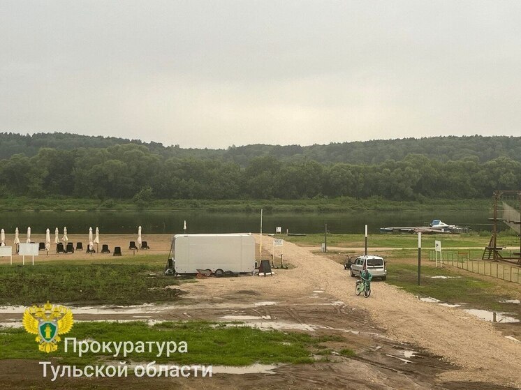 Три человека погибли от удара молнии по пляжу в Тульской области