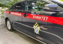Многодетным семьям из села Бибиково Узловского района Тульской области, которые с 2014 года не могут добиться проведения воды в свои дома, подкинули новых проблем
