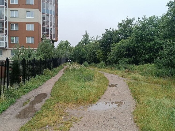 «Народную тропу» на Майском переулке планируют замостить