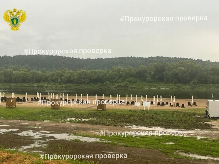 Среди троих погибших после удара молнии на Оке был подросток из Алексина