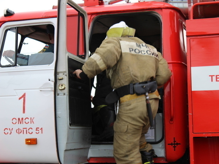 51 пожар за неделю: МЧС озвучило статистику по Омской области