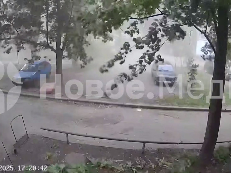 В Шахтерске сорванная ветром ветка едва не убила женщину