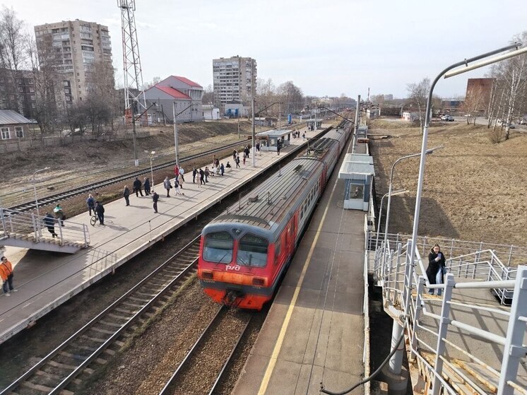 Многодетные семьи Петербурга могут оформлять льготные билеты на электрички онлайн