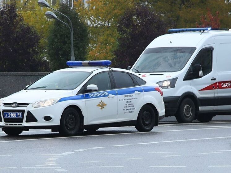 Омбудсмен МО: девочки после нападения в Домодедово остаются в тяжелом состоянии