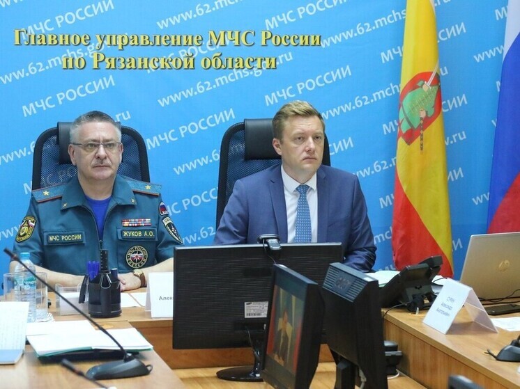 Денис Боков: В Рязанской области нет действующих природных пожаров