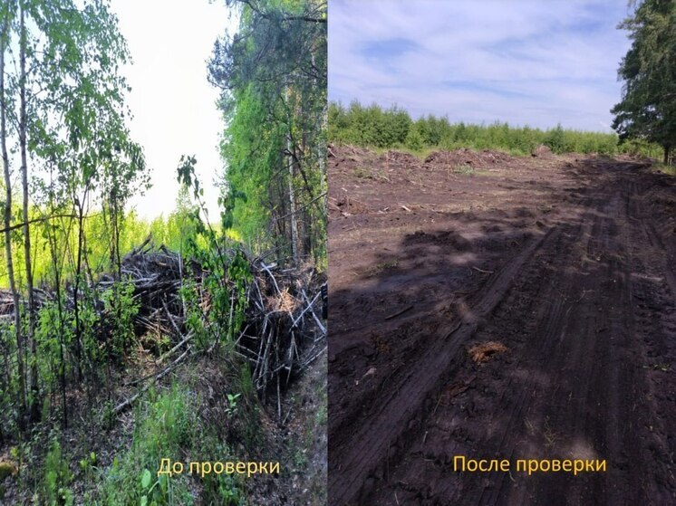 Зауральский коммерсант по требованию прокуратуры убрал свалку около леса