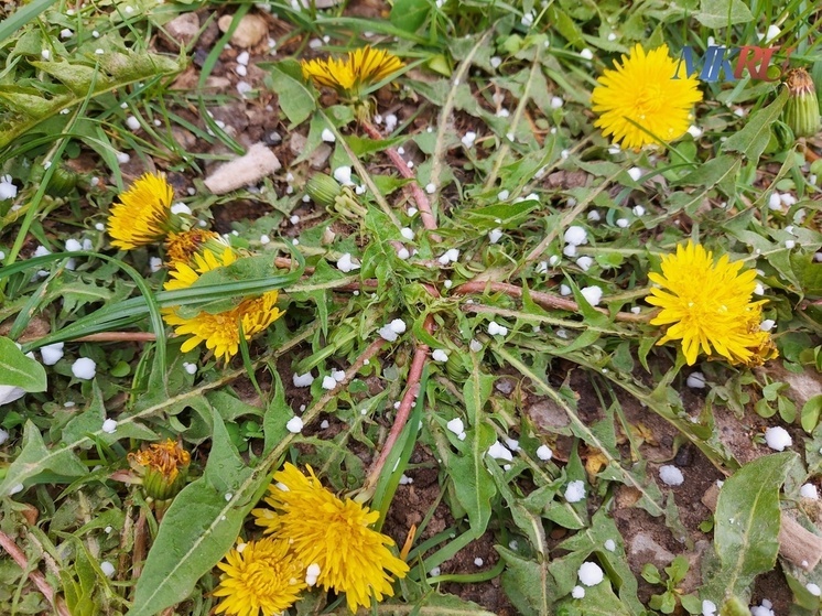 Из Калуги не уходит грозовой фронт, возможен град