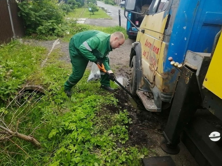 В Петербурге собрали свыше 17 тонн опасных отходов за одну неделю
