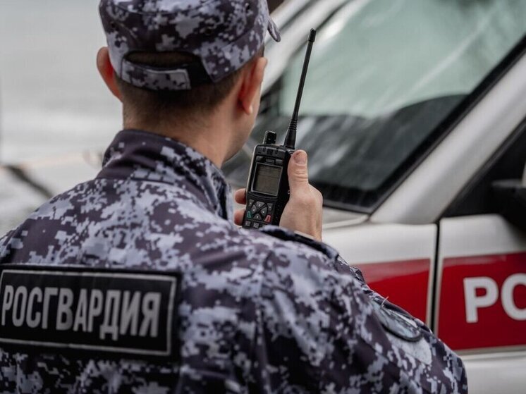 В Апатитах сотрудники Росгвардии усмирили буяна в санатории
