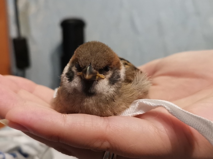 Стало известно, какая погода ожидает Приморье во вторник. 15 июля
