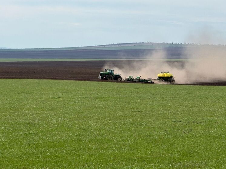 Россельхозцентр Хакасии назвали сорта-лидеры посевной компании-2025