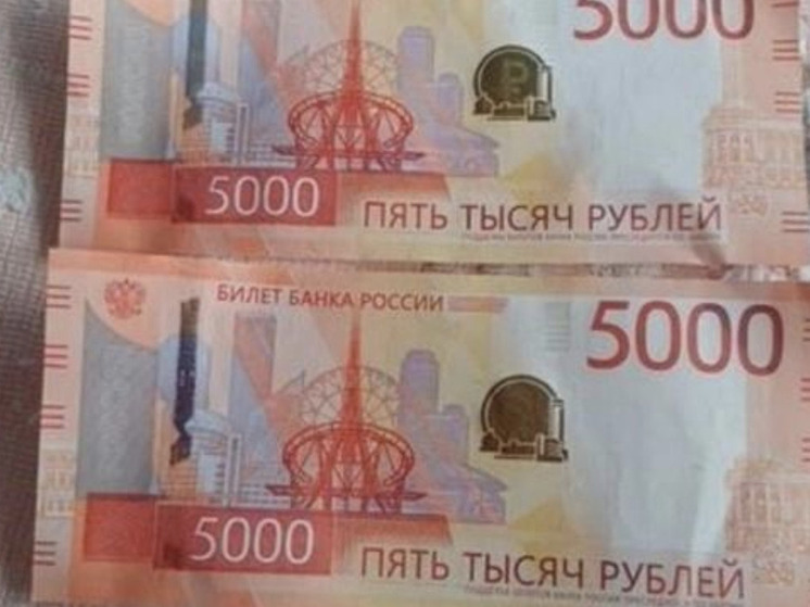 В Новосибирске выставили на продажу две пятитысячные купюры за два миллиона рублей