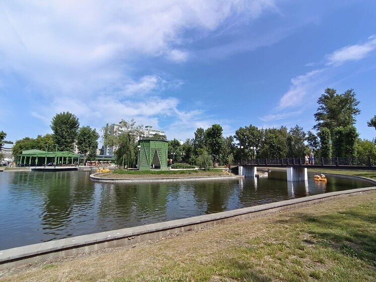В парке «Изумрудный» Барнаула во время ретро-дискотеки умерла женщина