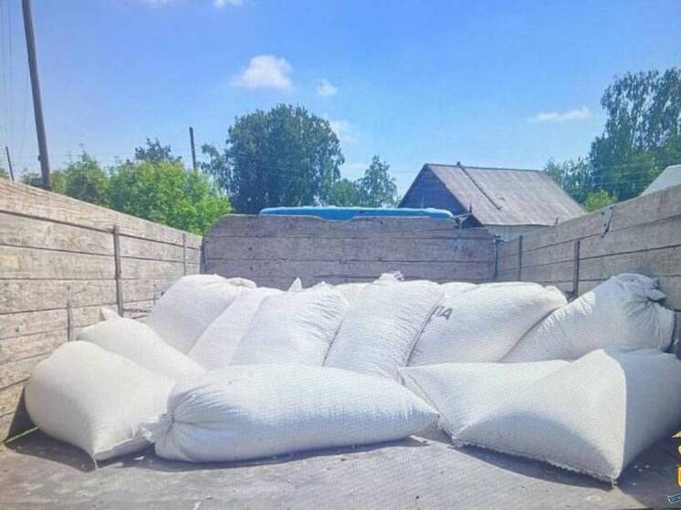 Кукурузный вор: в Алтайском крае рецидивист вынес более тонны зерен кукурузы с птицефабрики