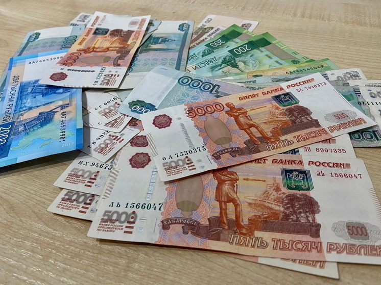 Риэлтор и глава кооператива из Омской области похитили 6 миллионов маткапитала