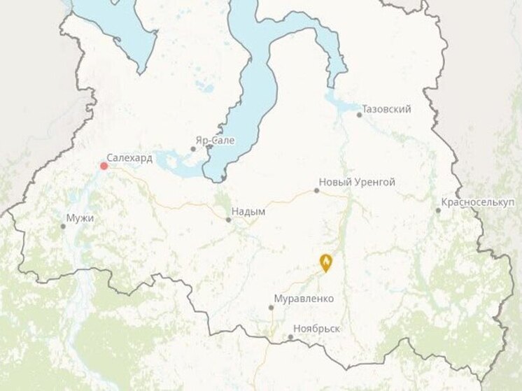 Лесной пожар тушат на севере от Муравленко