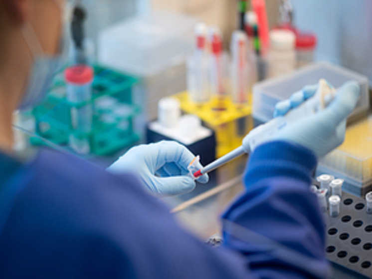 Professor Powis: i tassi di sopravvivenza al cancro quadruplicheranno
