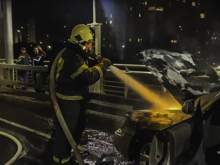 В Омске на метромосту загорелся автомобиль