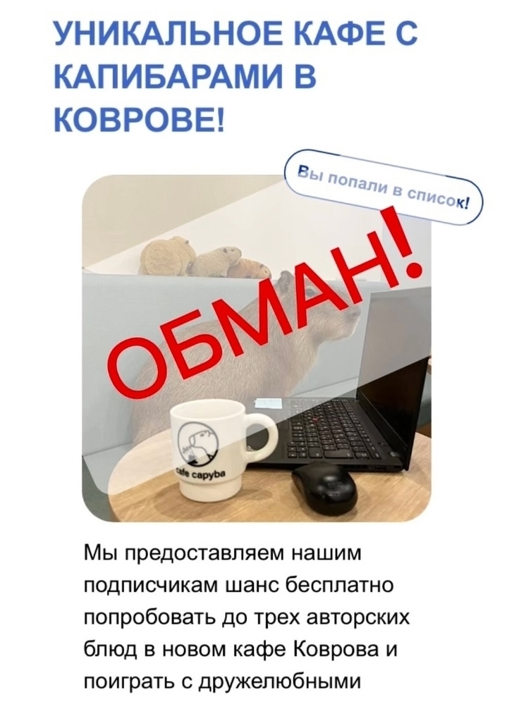 Мошенники придумали фейковое кафе с капибарами в Коврове