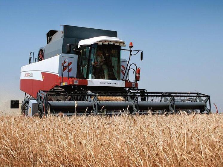 В Хакасии намерены собрать 153 тыс тонн зерна – министр Труфанов уповает на погоду