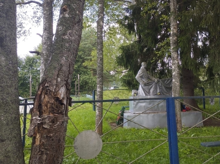 В Парфинском округе пожарные пришли на помощь памятнику Лене Голикову