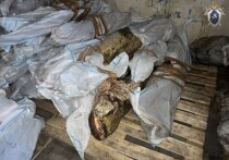 Следственный отдел по Советскому району Астрахани СУ СК России по Астраханской области возбудил уголовное дело по факту приобретения и хранения немаркированных продовольственных товаров в особо крупном размере с намерением их продажи