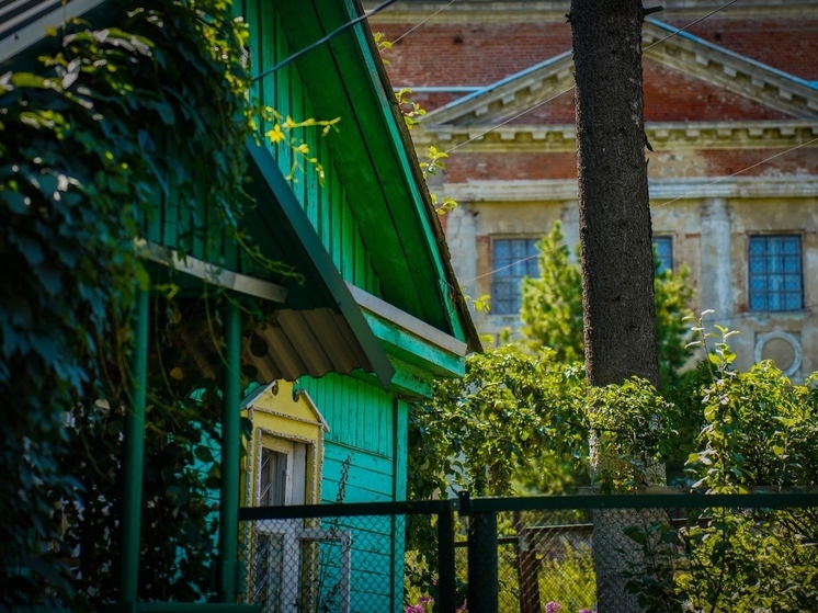 «Горячую линию» о земельном надзоре организуют в Тульской области