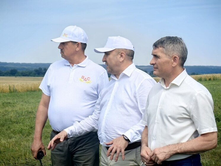 Стартовала уборочная страда: первыми вышли в поля аграрии Цивильского округа