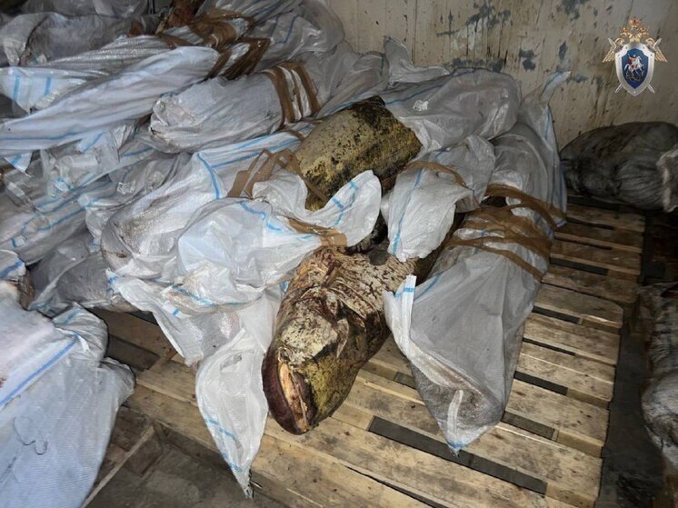 В Астрахани возбуждено уголовное дело за хранение немаркированной рыбной продукции с целью сбыта